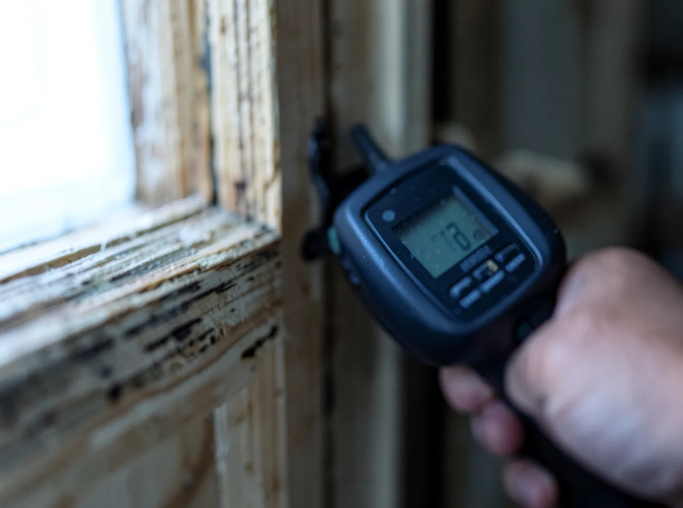 Moisture Inspection And Documentation in Weir, KS